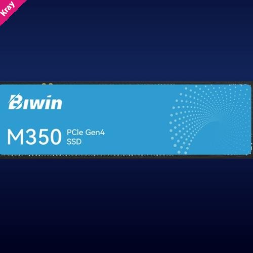 BIWIN M350-500G PCIe4.0 Read Write up to 6000/5000 mb/s BM350NN500G-RGX -5 Year Warranty