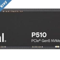 Crucial P510 2TB Gen5 2280 NVMe M.2 SSD 10000  8700 MBs RW 1200TBW 1.4M IOPS 1.5M hrs MTTF FullDrive Encryption 5yrs