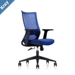 LDR ErgoLite Max Office Chair  Ergonomic with lumbar support mesh back moulded foam seat synchro tilt  fixed arms. Blue colour