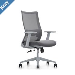 LDR ErgoLite Max Office Chair  Ergonomic with lumbar support mesh back moulded foam seat synchro tilt  fixed arms. Grey colour