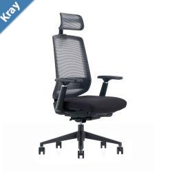 LDR ErgoLite Ultra ChairPremium ergonomic office chair with 3D armsseat sliderlumbar support5 lock backrest  synchro tilt.Executive StylingBlack