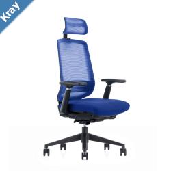 LDR ErgoLite Ultra ChairPremium ergonomic office chair with 3D armsseat sliderlumbar support5 lock backrest  synchro tilt.Executive StylingBlue