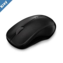 RAPOO 1620 2.4G Wireless Entry Level Mouse Black