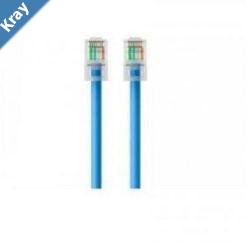 Belkin Cat6 Network cables  BlueA3L980bt02MBLUSGold plated connectorSnagless moulds help protect the RJ45 connectors from damage 2YR