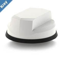 PANORAMA 9in1 4G5G  DOME Antenna White 5m FTD CABLS Great White  22 MiMo 4G5GSMA m  61796014276000MHz IK10  IP69K