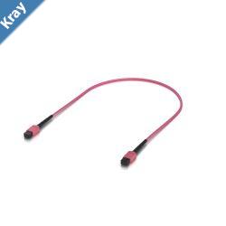 Ubiquiti Indoor OM4 Multimode Fiber Patch Cable 0.5M Singlepack With MPO12 Type B UPC Connectors Designed For 100G Applications