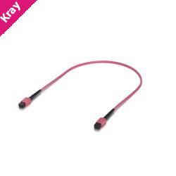 Ubiquiti Indoor OM4 Multi-mode Fiber Patch Cable, 0.5M, Single-pack, With MPO-12 Type B UPC Connectors, Designed For 100G Applications