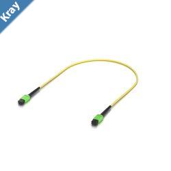 Ubiquiti OS2 MPO12 APC Fiber Patch Cable 0.5 m Singlepack Indoor OS2 SinglemodeMPO12 Type B APC Connectors For 100G Applications