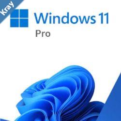 Microsoft Windows 11 Professional Retail 64bit USB Flash Drive