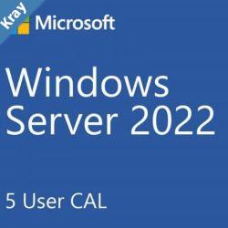 Microsoft Server Standard New 2022   5 Users CAL Pack OEM Use with SMSWINSVR22