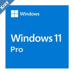 Microsoft Windows 11 Professional OEM 64bit English 1 Pack DVD. Key NEW