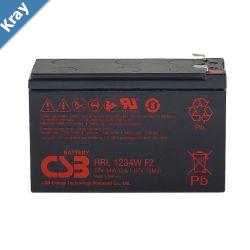 PowerShield 12 Volt Replacement Battery in 10 year design life.